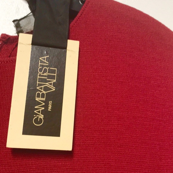 NWT GIAMBATTISTA VALLI PARIS COLLECTION DRESS - Picture 7 of 8